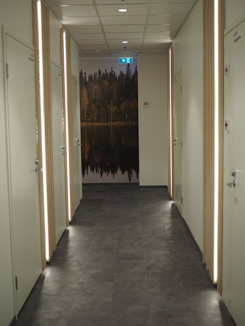 Karelian Magneetti, image 5